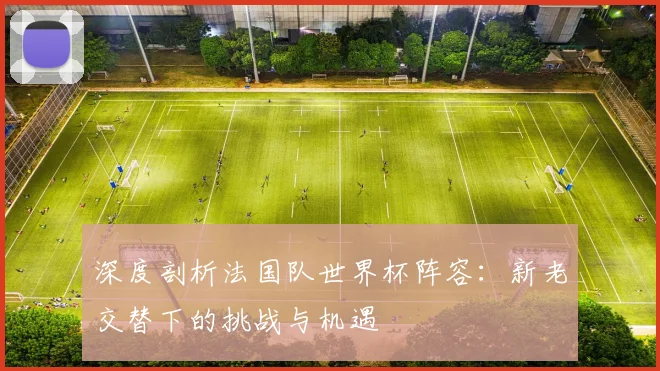深度剖析法国队世界杯阵容：新老交替下的挑战与机遇