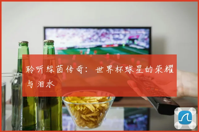 聆听绿茵传奇：世界杯球星的荣耀与泪水