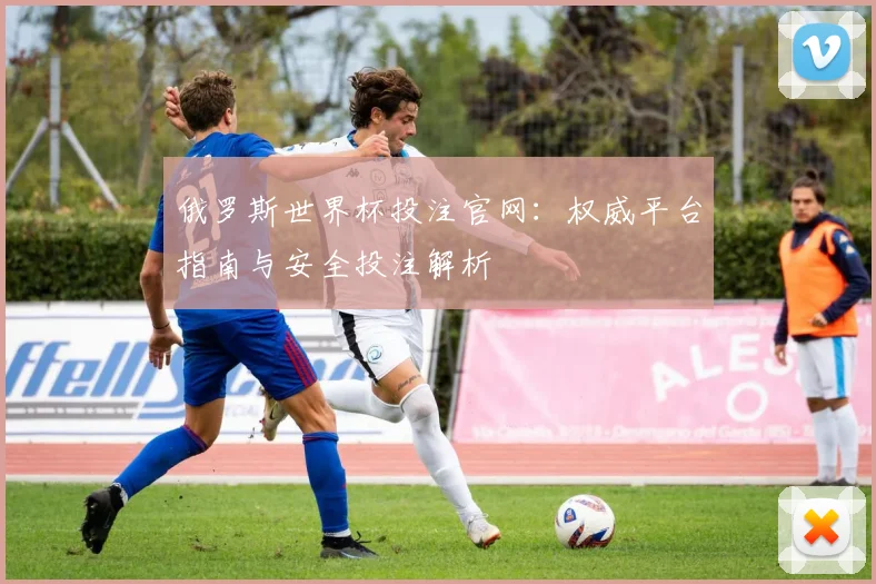俄罗斯世界杯投注官网：权威平台指南与安全投注解析