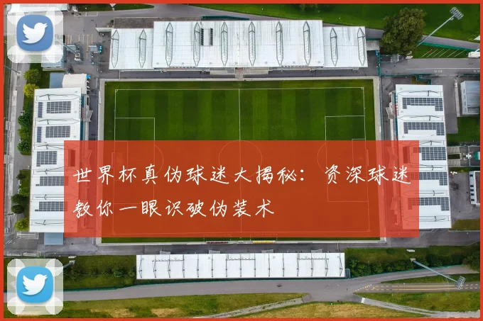 世界杯真伪球迷大揭秘：资深球迷教你一眼识破伪装术