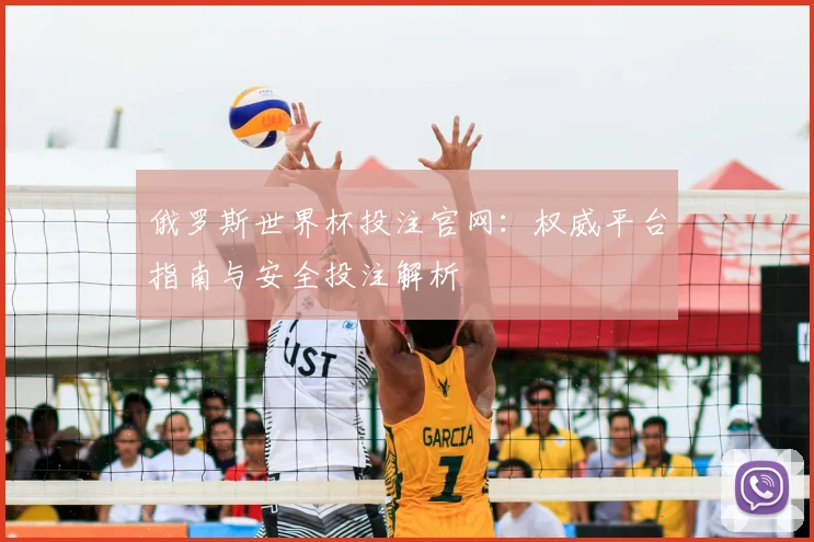 俄罗斯世界杯投注官网：权威平台指南与安全投注解析