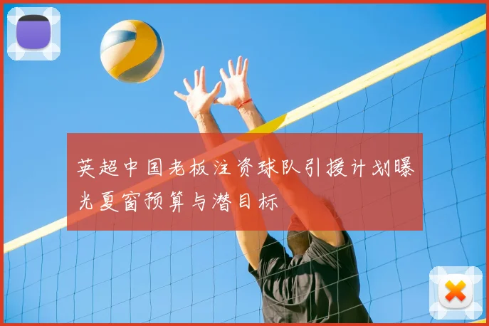 英超中国老板注资球队引援计划曝光夏窗预算与潜目标