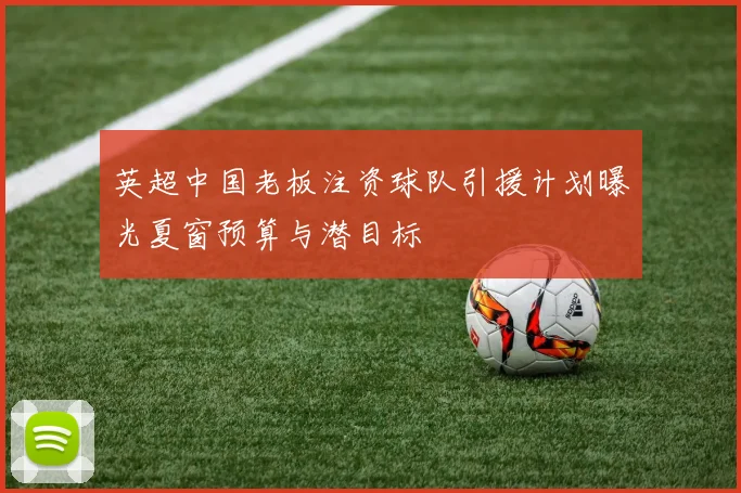 英超中国老板注资球队引援计划曝光夏窗预算与潜目标